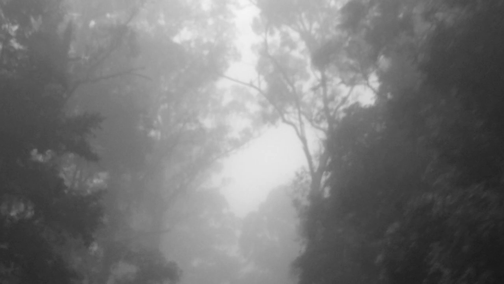 mist
